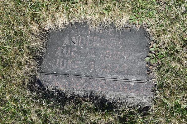  Vieno Elizabeth Anderson Marker Image